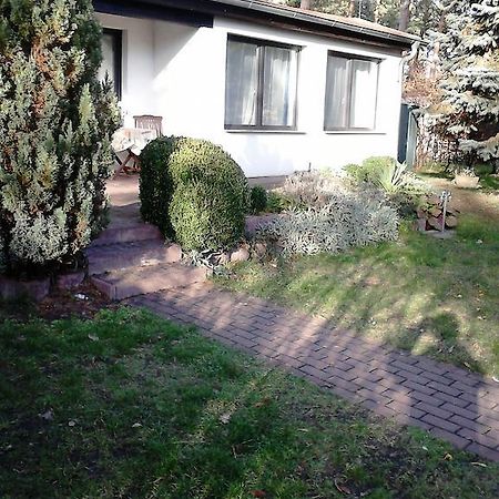 Ferienhaus Pauline Am See Müllrose Pokój zdjęcie