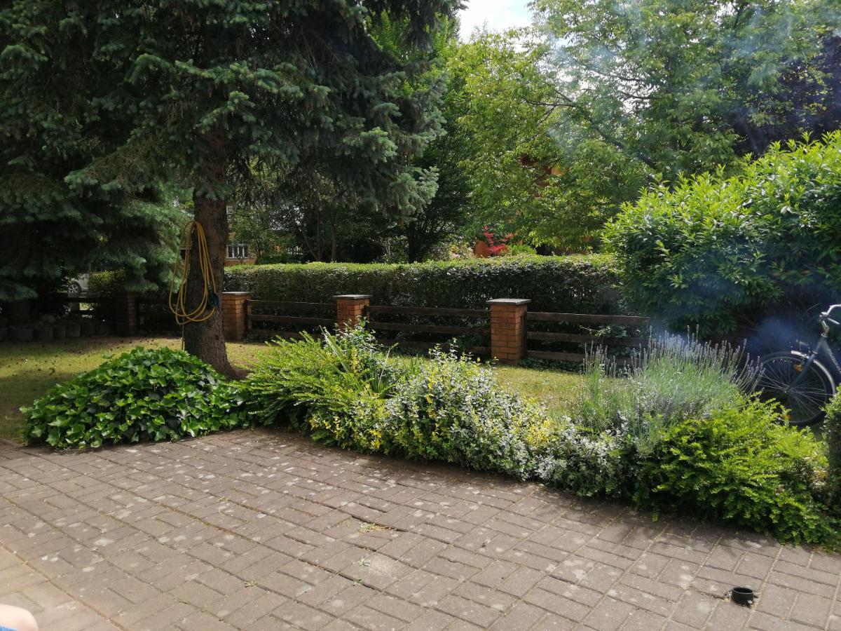 Ferienhaus Pauline Am See Müllrose Zewnętrze zdjęcie